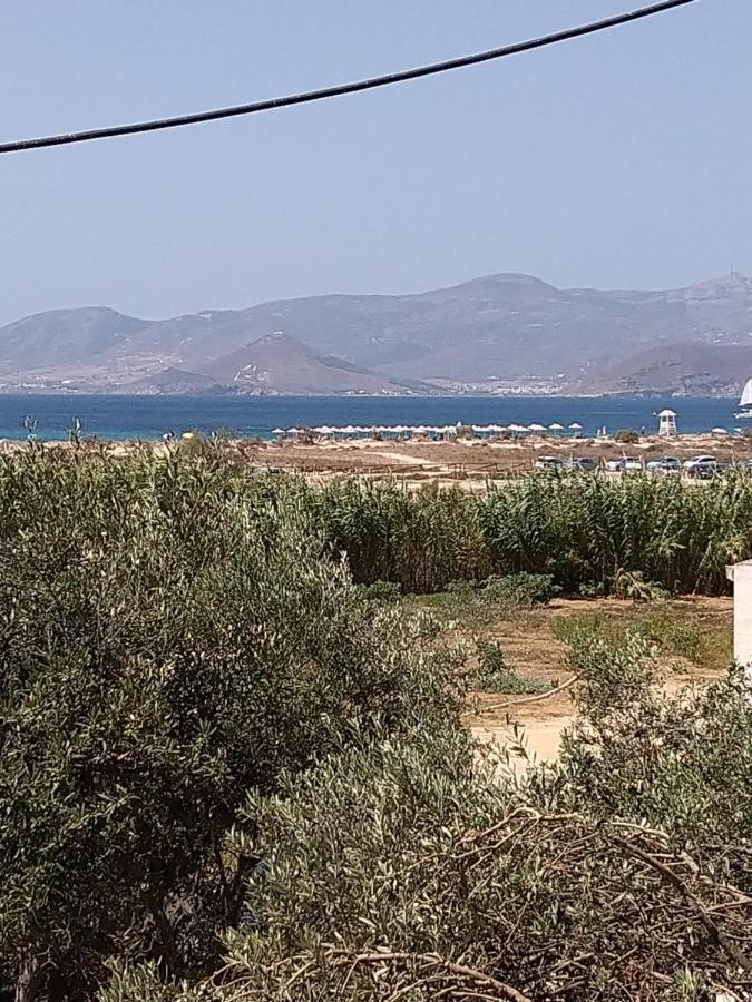 Nikoletta Studios 1 Agios Prokopios  Dış mekan fotoğraf